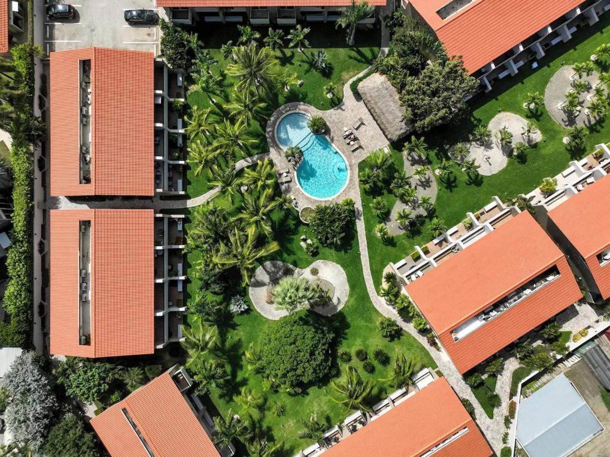 Eagle Beach Luxury House, Walking Distance To The Beach Palm Beach Bagian luar foto